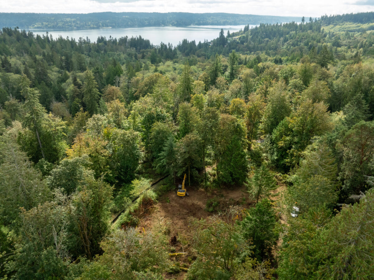 Kobelco SK170LC-11 excavator working in the woods