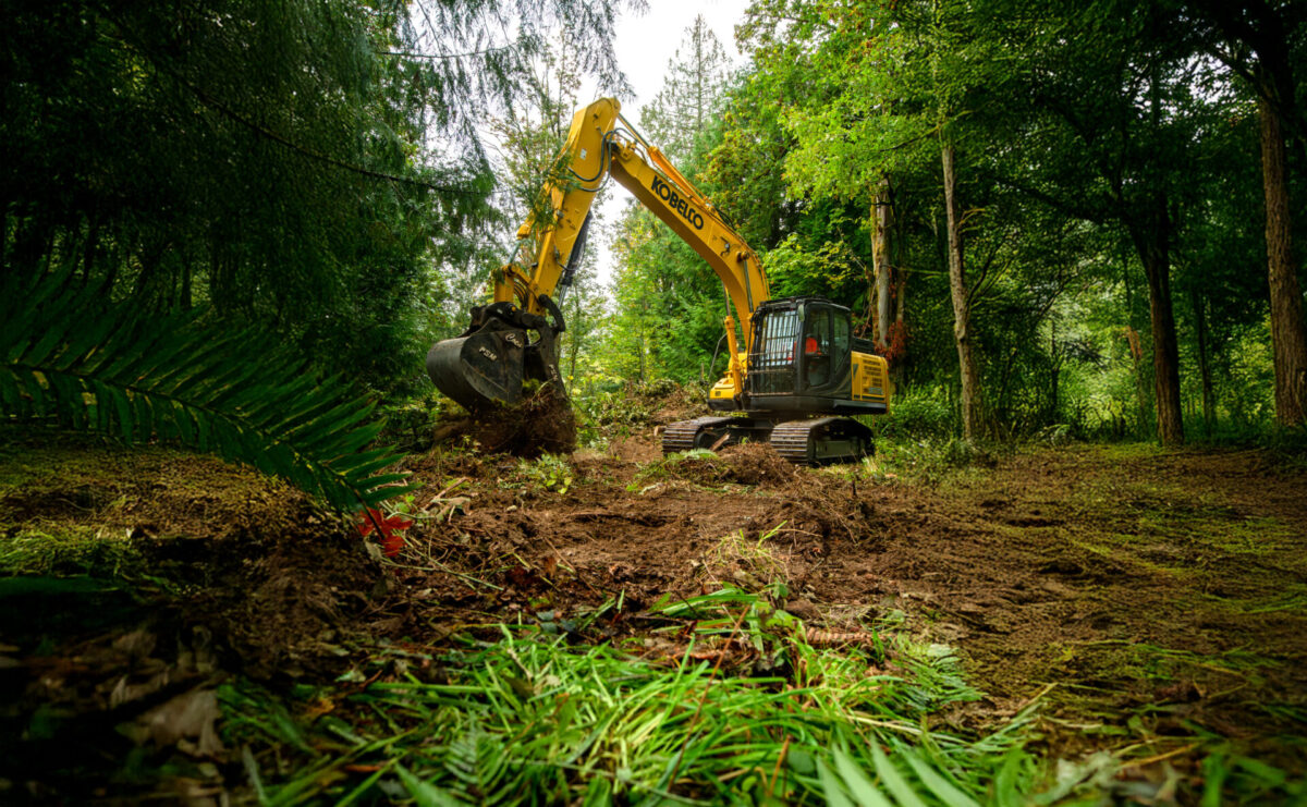 Kobelco SK170LC-11 excavator working in the woods