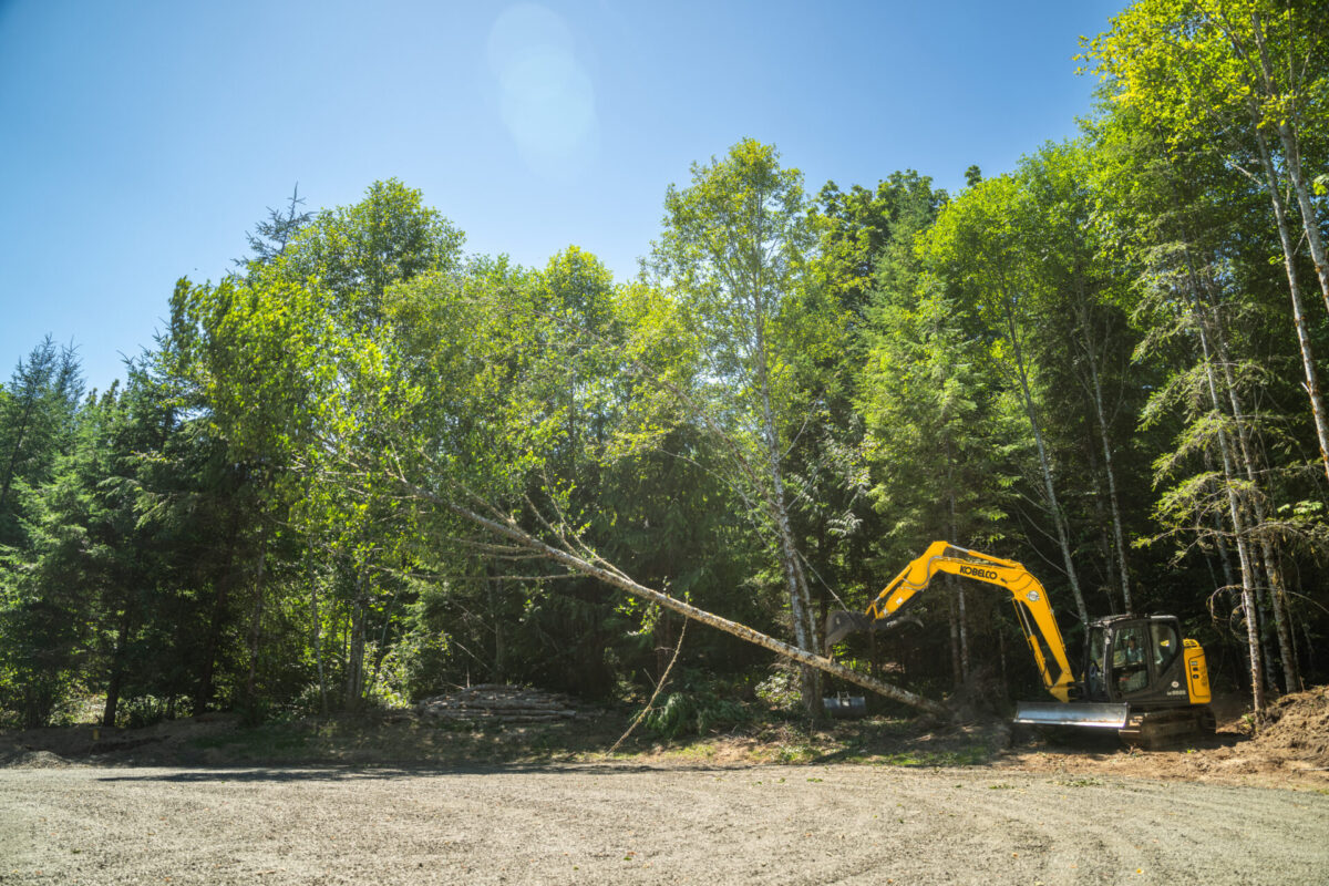 Kobelco SK85 land clearing