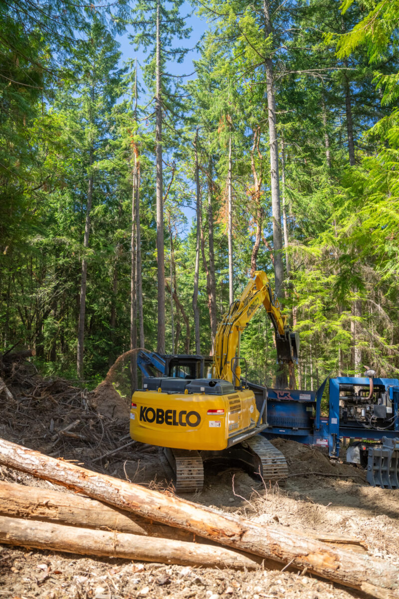 Kobelco SK170 picking up logs.