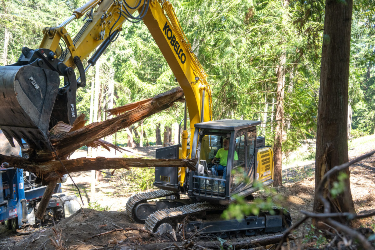 Kobelco SK170 grabbing logs. 